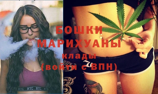твердый Вяземский