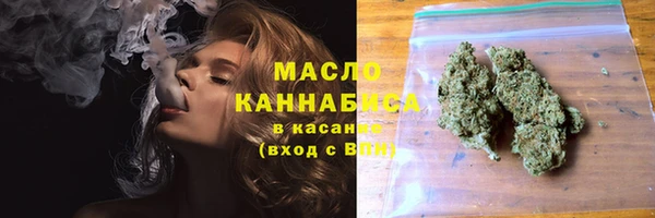 спиды Горняк