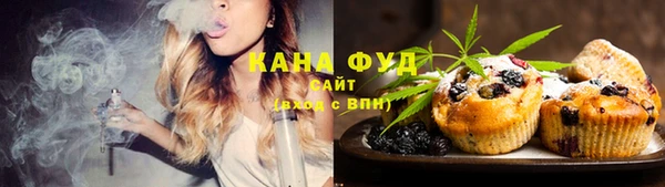 спиды Горняк
