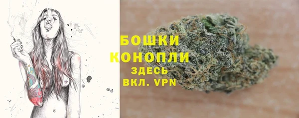 твердый Вяземский