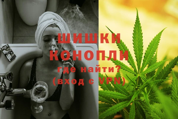 спиды Горняк