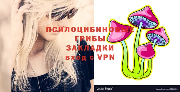 твердый Вяземский