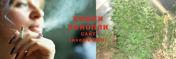 твердый Вяземский