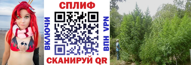 Бошки марихуана семена  Заполярный 